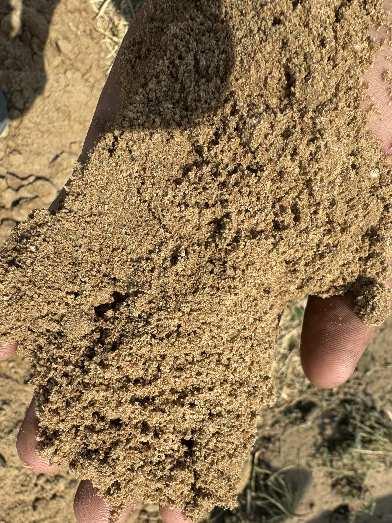 Cowgirl Demolition: Has 50,000 CY of Class 1 structural fill - Platteville, CO